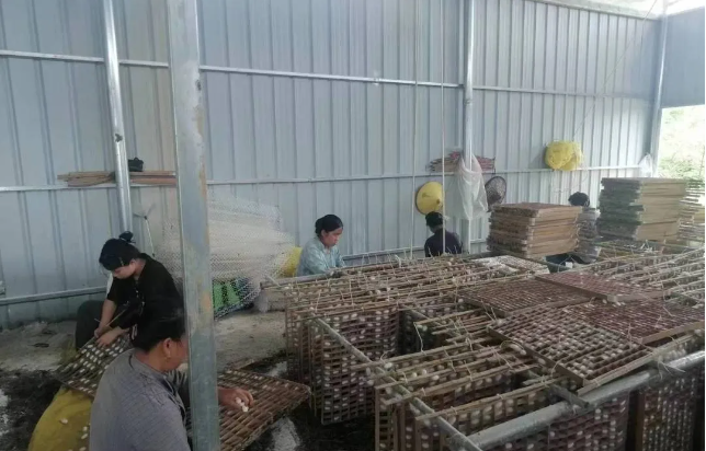 选准产业，拓宽富民增收渠道。